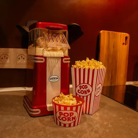 Phoenix Avec Cheminee, Terrasse Et Videoprojecteur * Angoulême