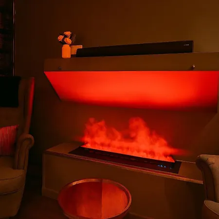 Phoenix Avec Cheminee, Terrasse Et Videoprojecteur *