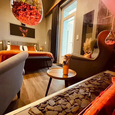 Phoenix Avec Cheminee, Terrasse Et Videoprojecteur * Angoulême