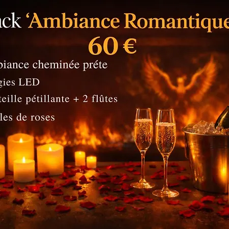 Phoenix Avec Cheminée, Terrasse Et Videoprojecteur